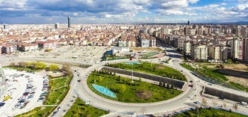 Varis Tedavisi Konya